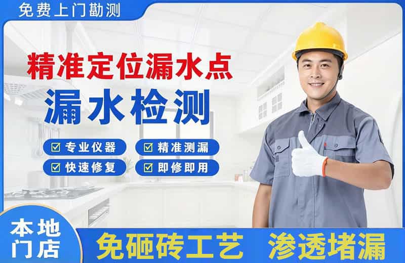 石龙精准测漏点